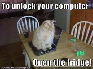 To Unlock Your Computer, Open the Fridge