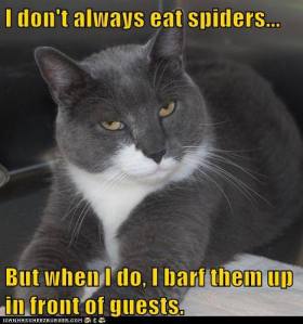 I Don't Always Eat Spiders