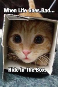 When Life Goes Bad, Hide in a Box