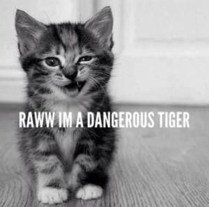 I'm a Dangerous Tiger