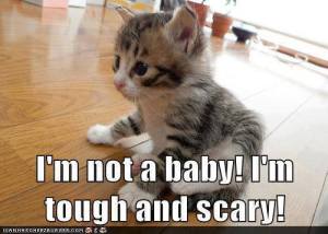 I'm Tough and Scary