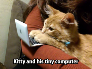 Kitty and His Computer