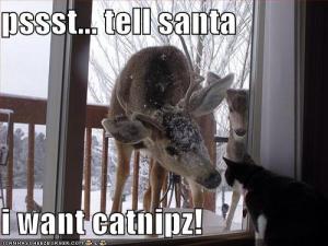 Tell Santa I Want Catnipz
