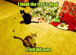 The Tree is Dead