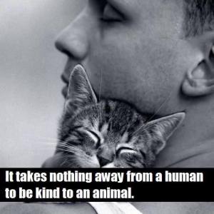 Kind to an Animal