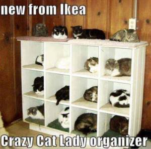 Cat Organizer