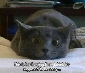 hunting-face